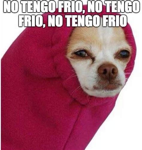 Frases frio chistosas